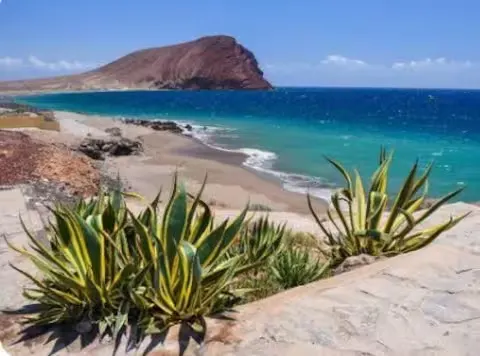 Playa de El Médano con agaves en primer plano y Montaña Roja al fondo.