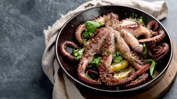 Gegrillter Oktopus, allgemeines Gastronomiefoto.